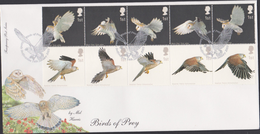 2003 -Birds of Prey FDC 4d Post - Sandy, Bedfordshire Postmark