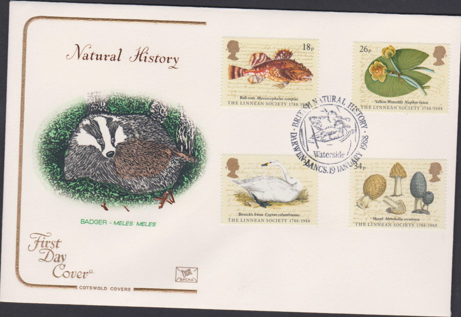 1988- Linnean Society First Day Cover COTSWOLD Darwen,Lancs Postmark - Click Image to Close