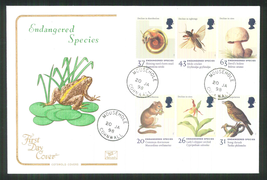 1998 Cotswold Endangered Species FDC Mousehole C D S Postmark - Click Image to Close