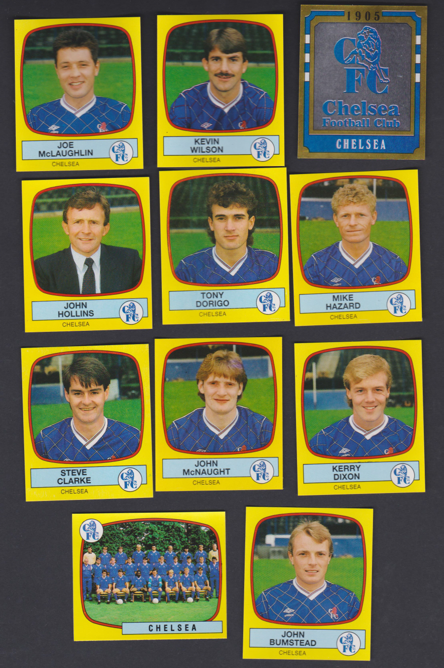 Panini Football 88 Stickers Group from Chelsea of 11 stickers