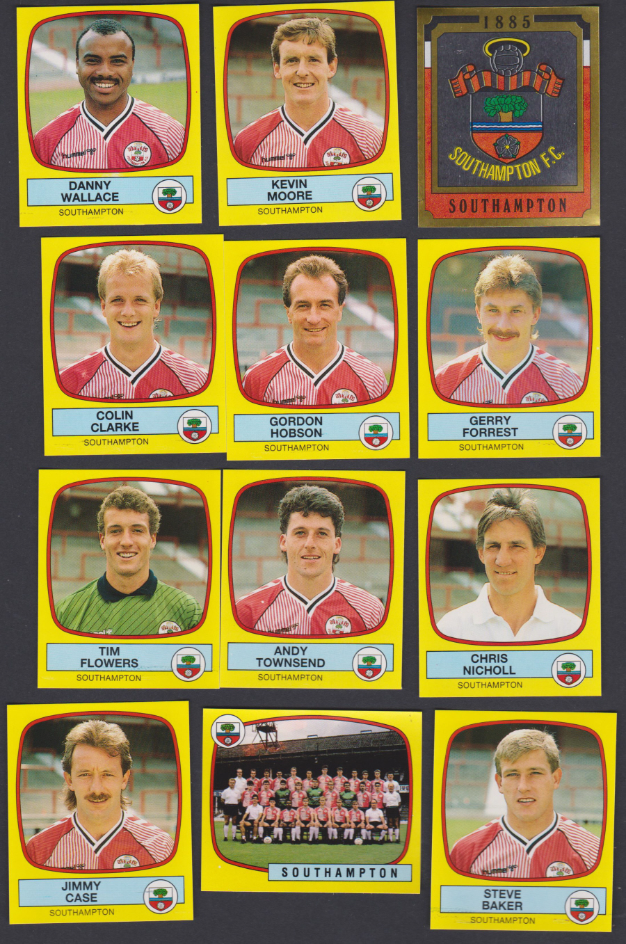 Panini Football 88 Stickers Group from Southampton of 12 stickers