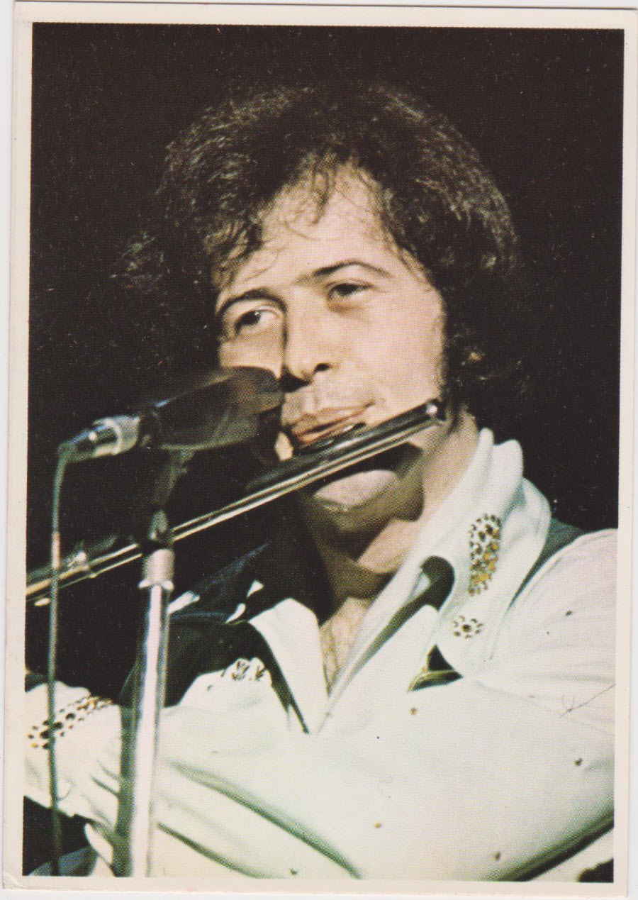 Top Sellers Picture Pop by Panini 1974 No 14 Wayne Osmond