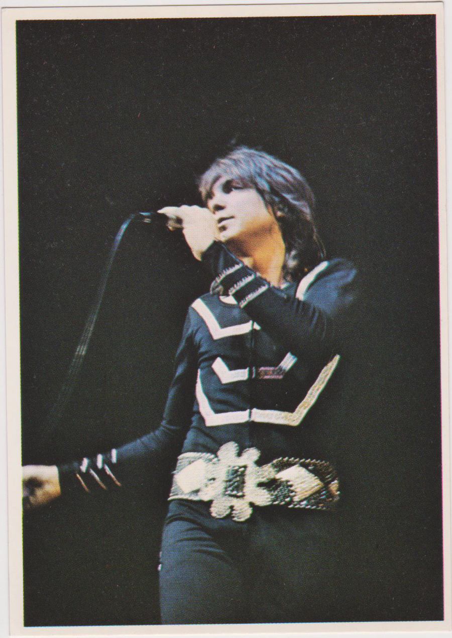 Top Sellers Picture Pop by Panini 1974 No 53 David Cassidy