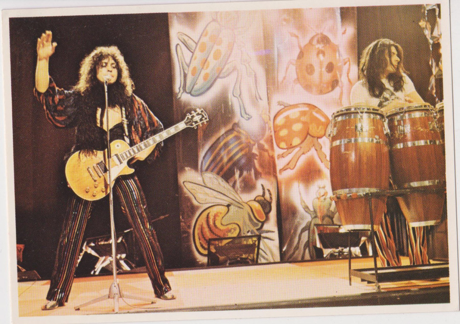 Top Sellers Picture Pop by Panini 1974 No 77 T Rex