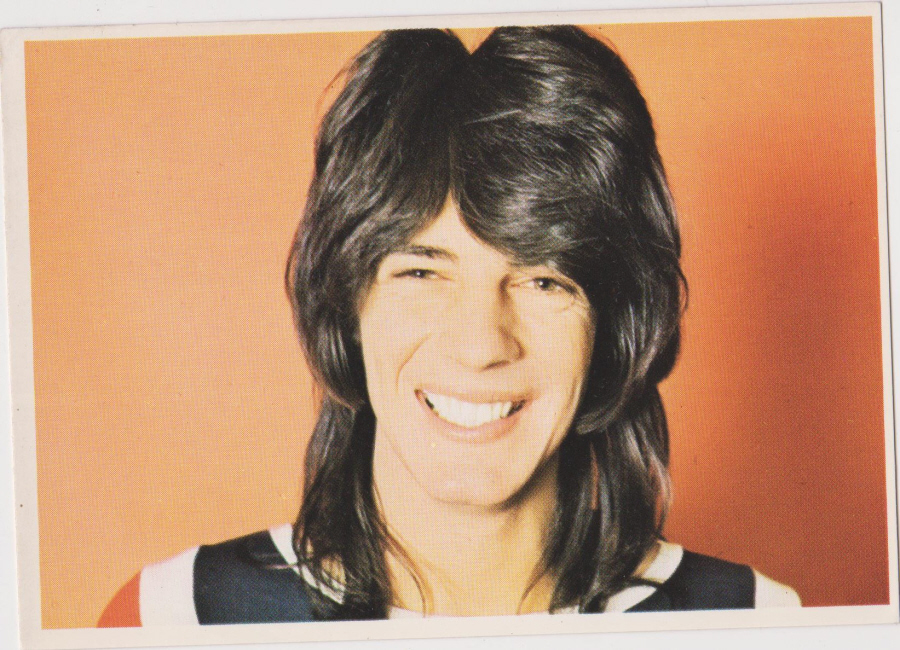 Top Sellers Picture Pop by Panini 1974 No 78 Rick Springfield