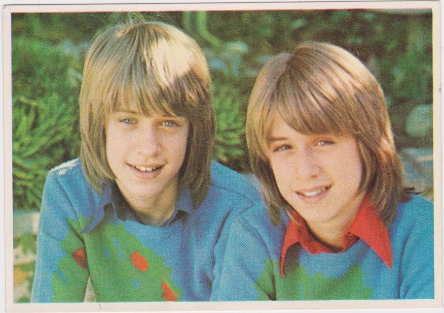 Top Sellers Picture Pop'73 by Panini 1973 No 20 Andy & David Williams