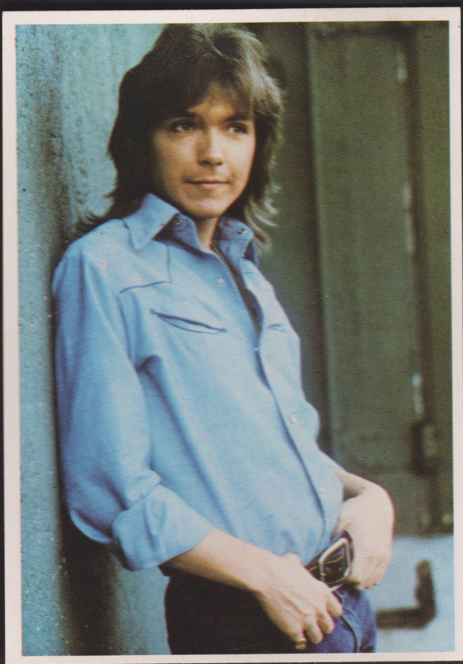 Top Sellers Superstars by Panini 1975 No 72 David Cassidy