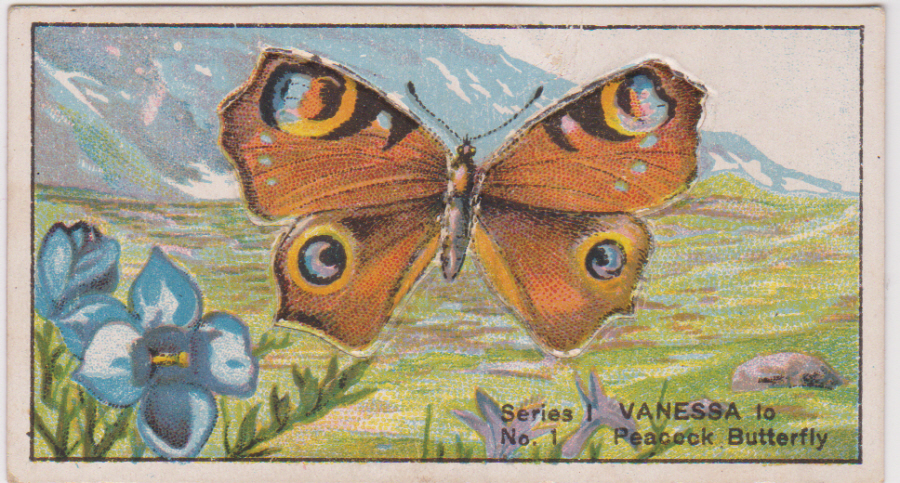 Cassells Butterflies & Moths Med No 1 - Click Image to Close