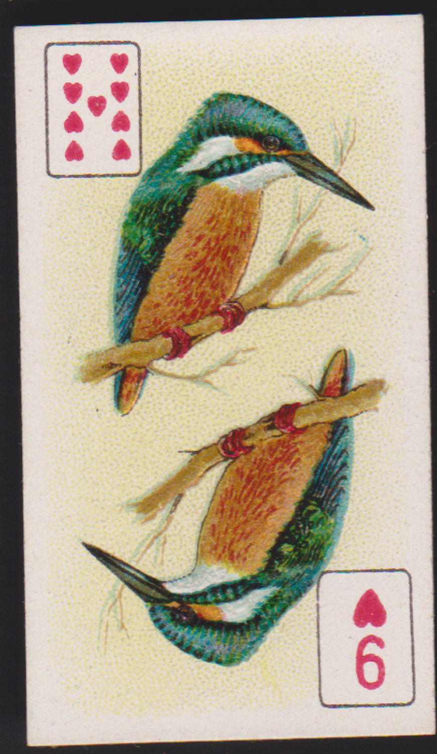 Wills Four Aces Issue Birds Breilliant Plumage P?C inset 9 hearts - Click Image to Close