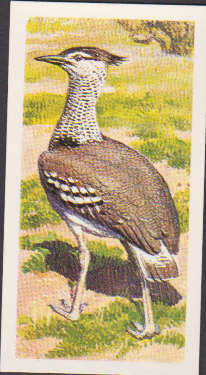 Brooke Bond Rhodesian Issue Africian Birds No :- 19