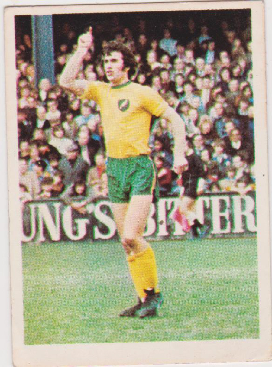 Top Sellers / Panini FOOTBALL'74 Card No. 224 Duncan Forbes - Click Image to Close