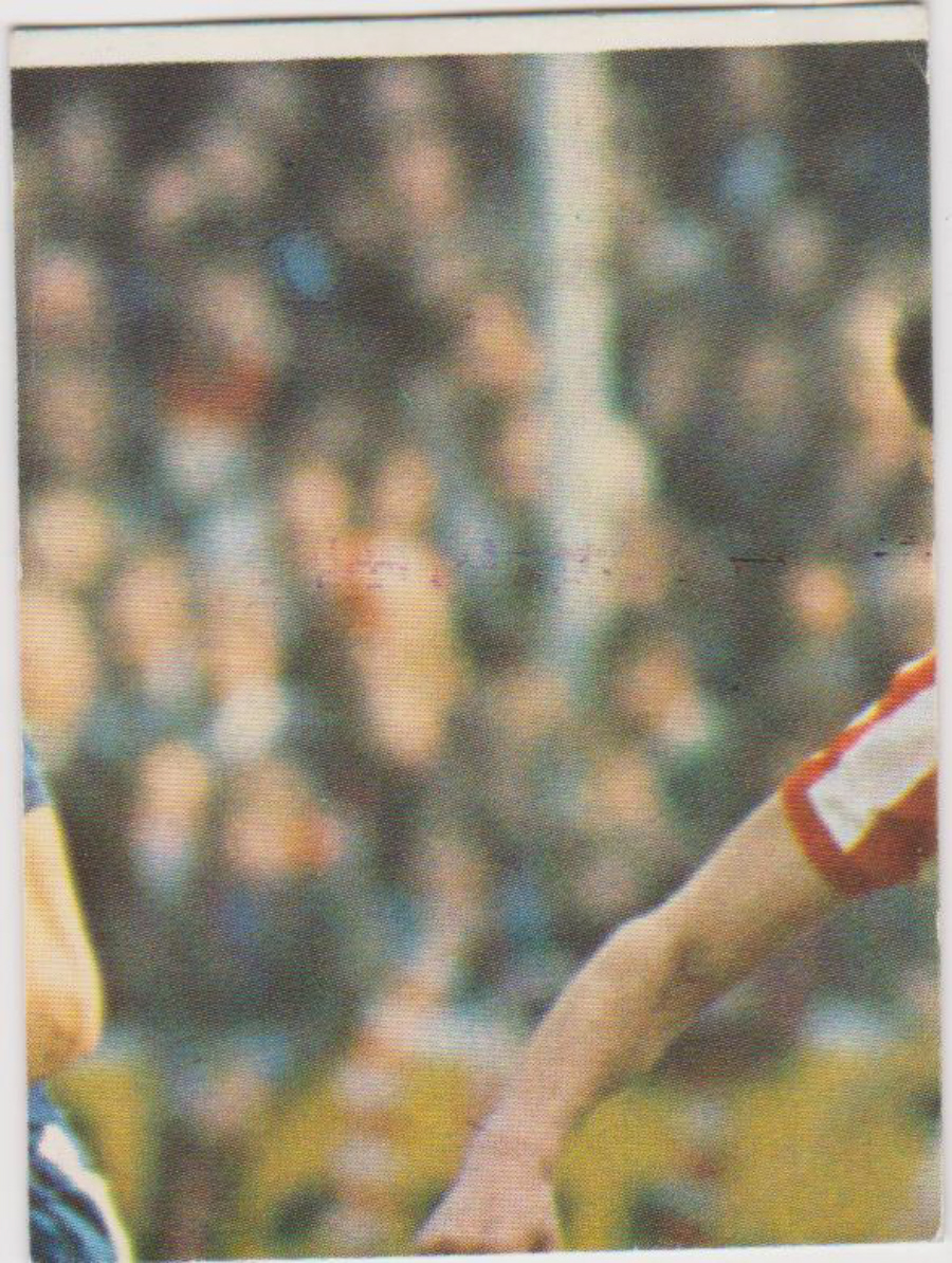 Top Sellers / Panini FOOTBALL'75 Puzzle Card No. 65C