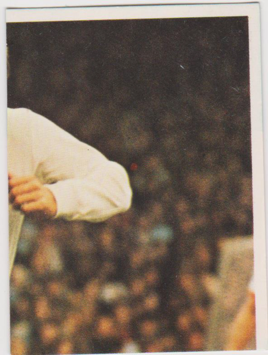 Top Sellers / Panini FOOTBALL'75 Puzzle Card No. 65L