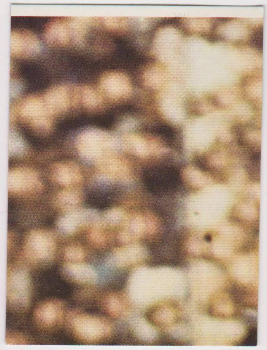 Top Sellers / Panini FOOTBALL'75 Puzzle Card No. 59C