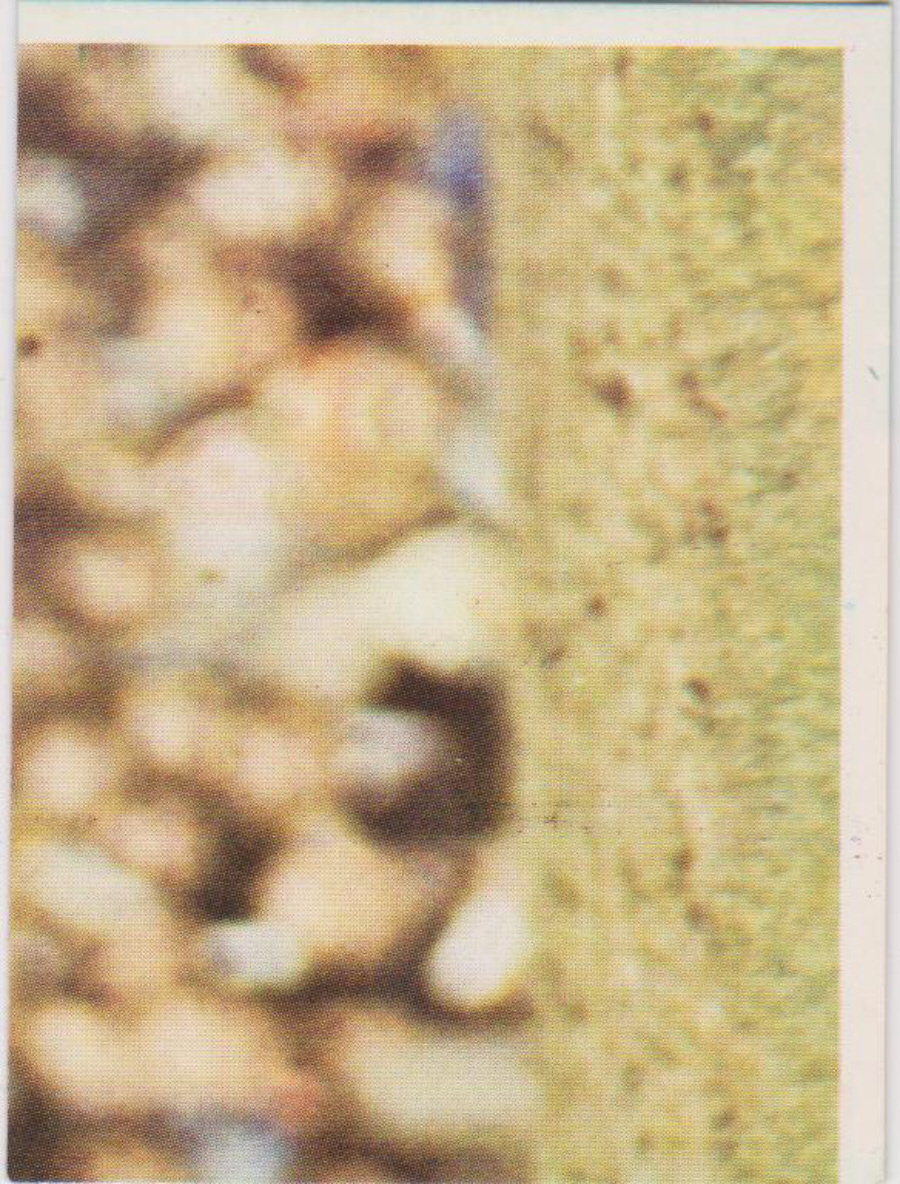 Top Sellers / Panini FOOTBALL'75 Puzzle Card No. 59D