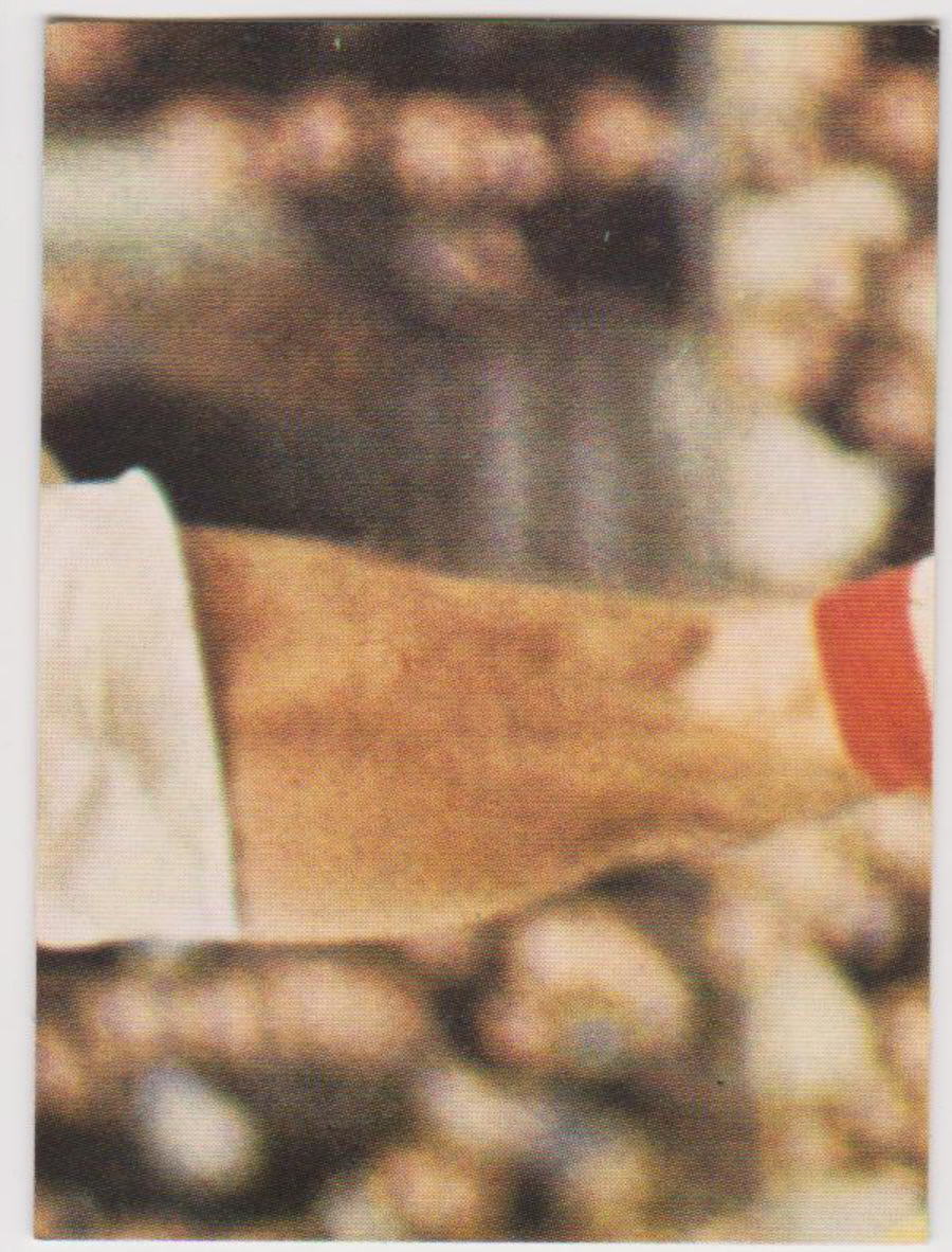 Top Sellers / Panini FOOTBALL'75 Puzzle Card No. 59G