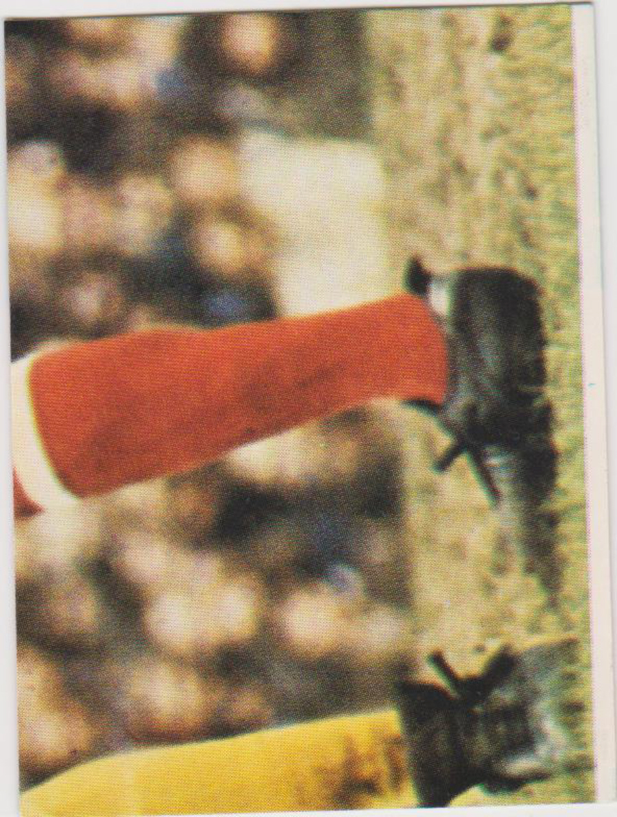 Top Sellers / Panini FOOTBALL'75 Puzzle Card No. 59H