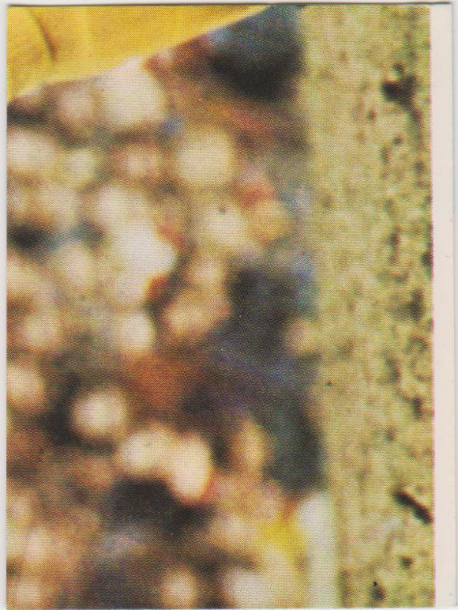 Top Sellers / Panini FOOTBALL'75 Puzzle Card No. 59L