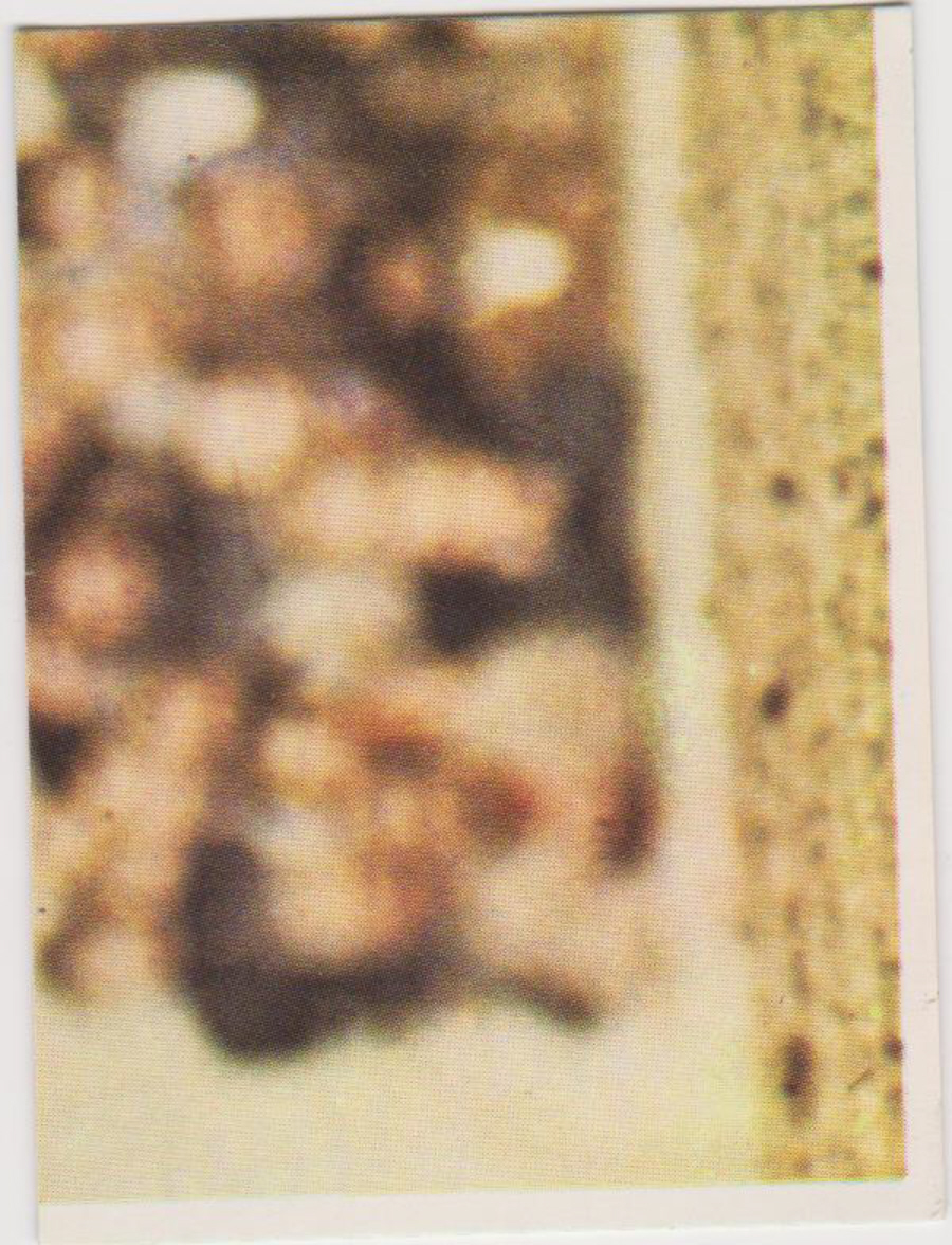 Top Sellers / Panini FOOTBALL'75 Puzzle Card No. 59P