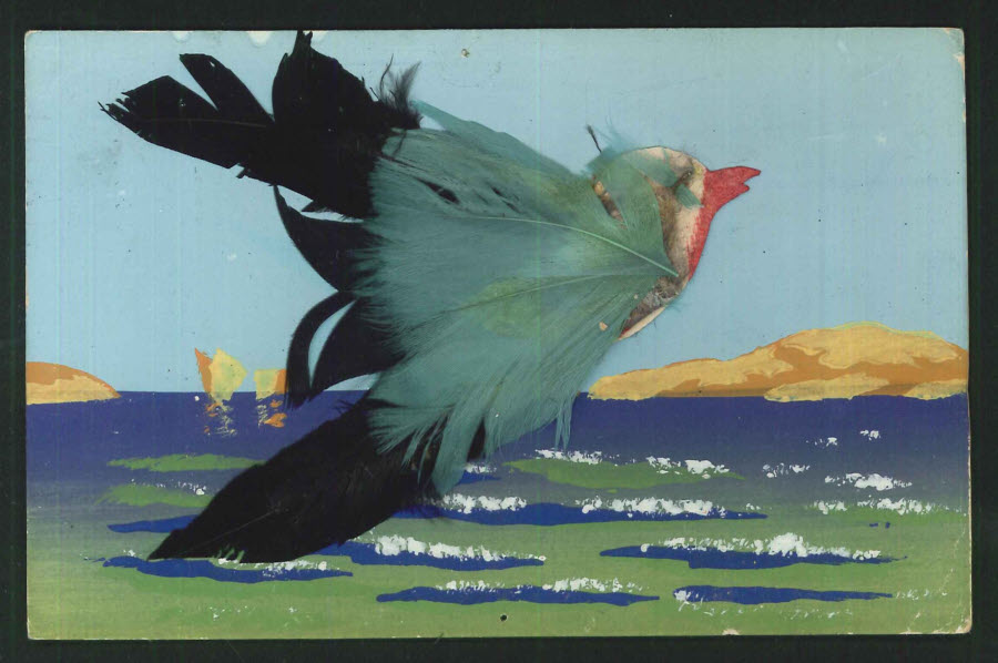 Postcard Hand Made Seabird with Feathers - 1924