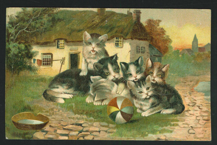 Postcard Cats at Rest - 1909