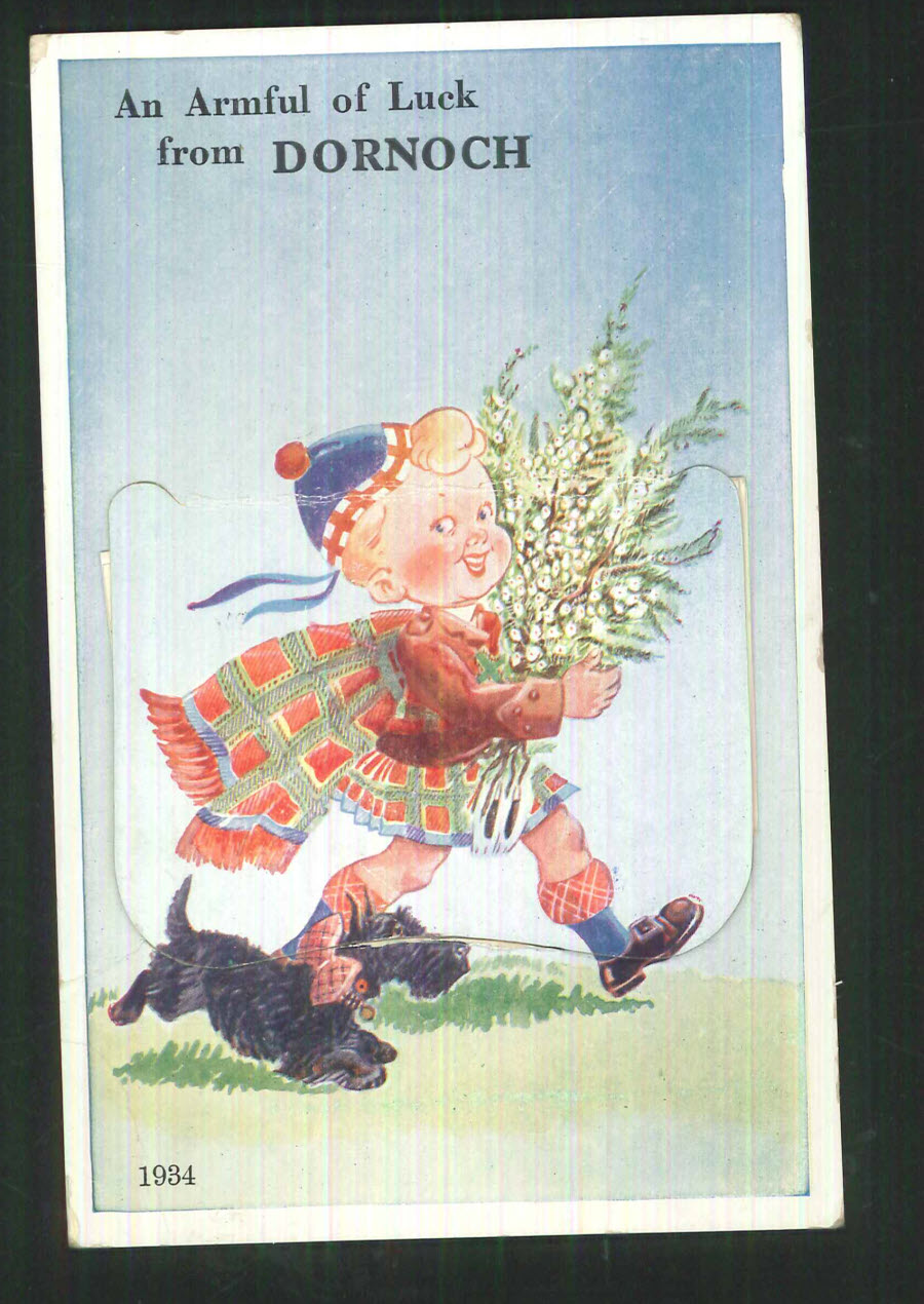 Postcard Scotland - Mail Novelty ''An Armful of Luck from Dornoch''
