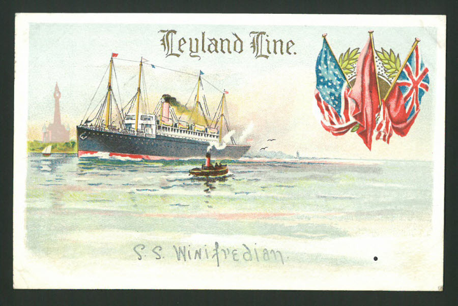 Postcard Leyland Line S.S.Winifredian