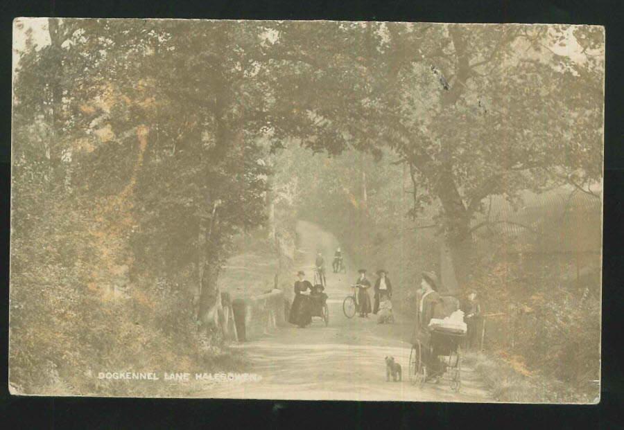 Postcard R P Staffordshire Dogkennel Lane, Halesowen 1907