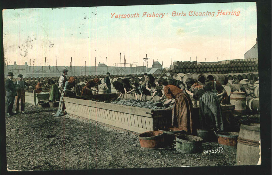 Postcard Norfolk Great Yarmouth Fishery Girls Cleaning Herrings 1910 - Click Image to Close