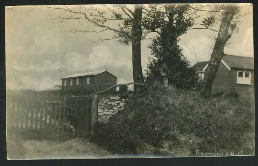 Postcard R P Devon - Raymond's Hill