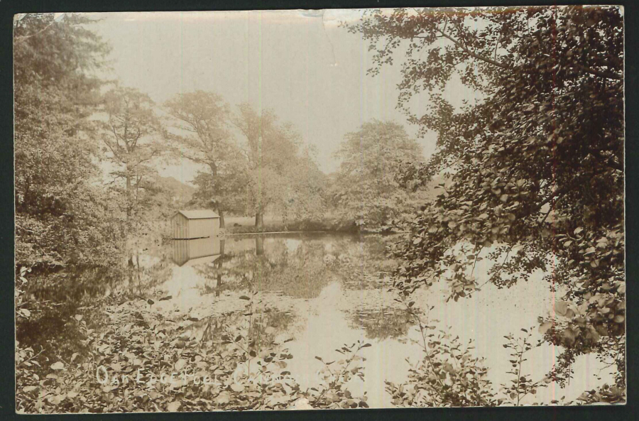 Postcard Cannock Oak Edge Pool Staffordshire Valentine