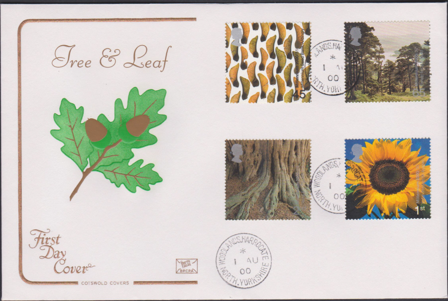 2000 Tree & Leaf COTSWOLD CDS First Day Cover - Woodlands, Harrogate Postmark - Click Image to Close