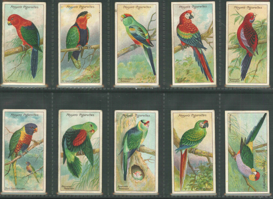 Players Set of 50 Nature Series