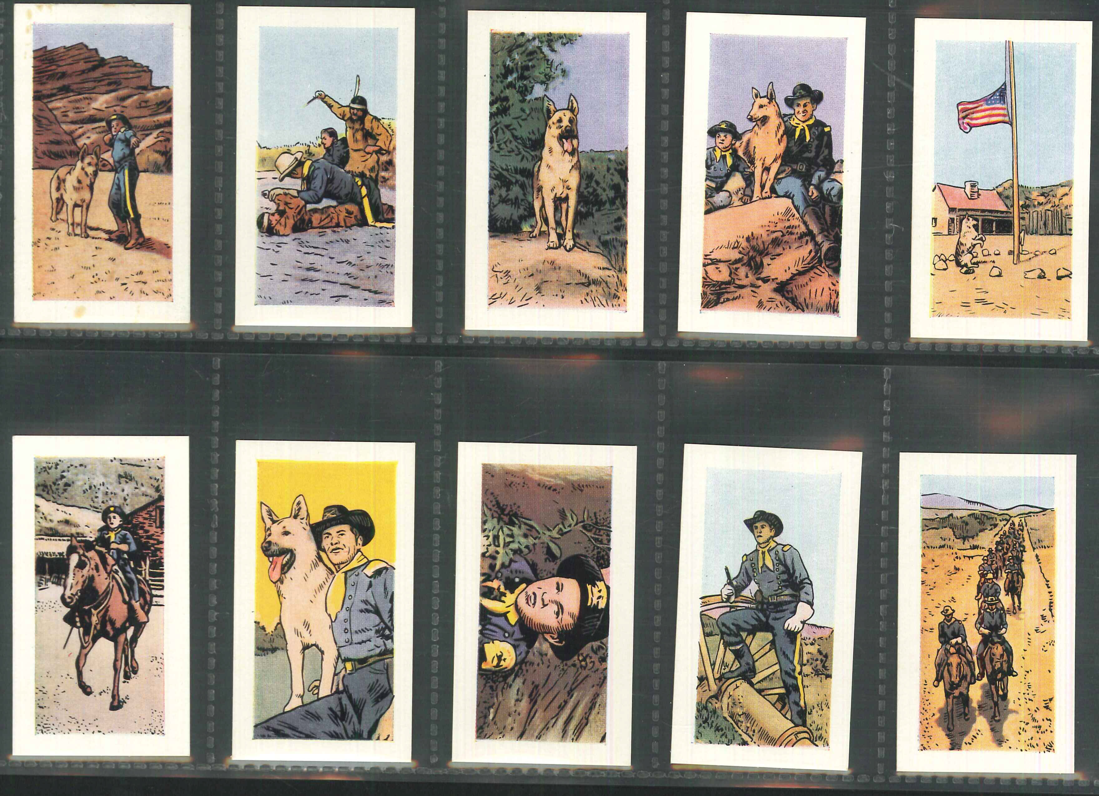 Cadet - The Adventures of Rin Tin Tin set of 50