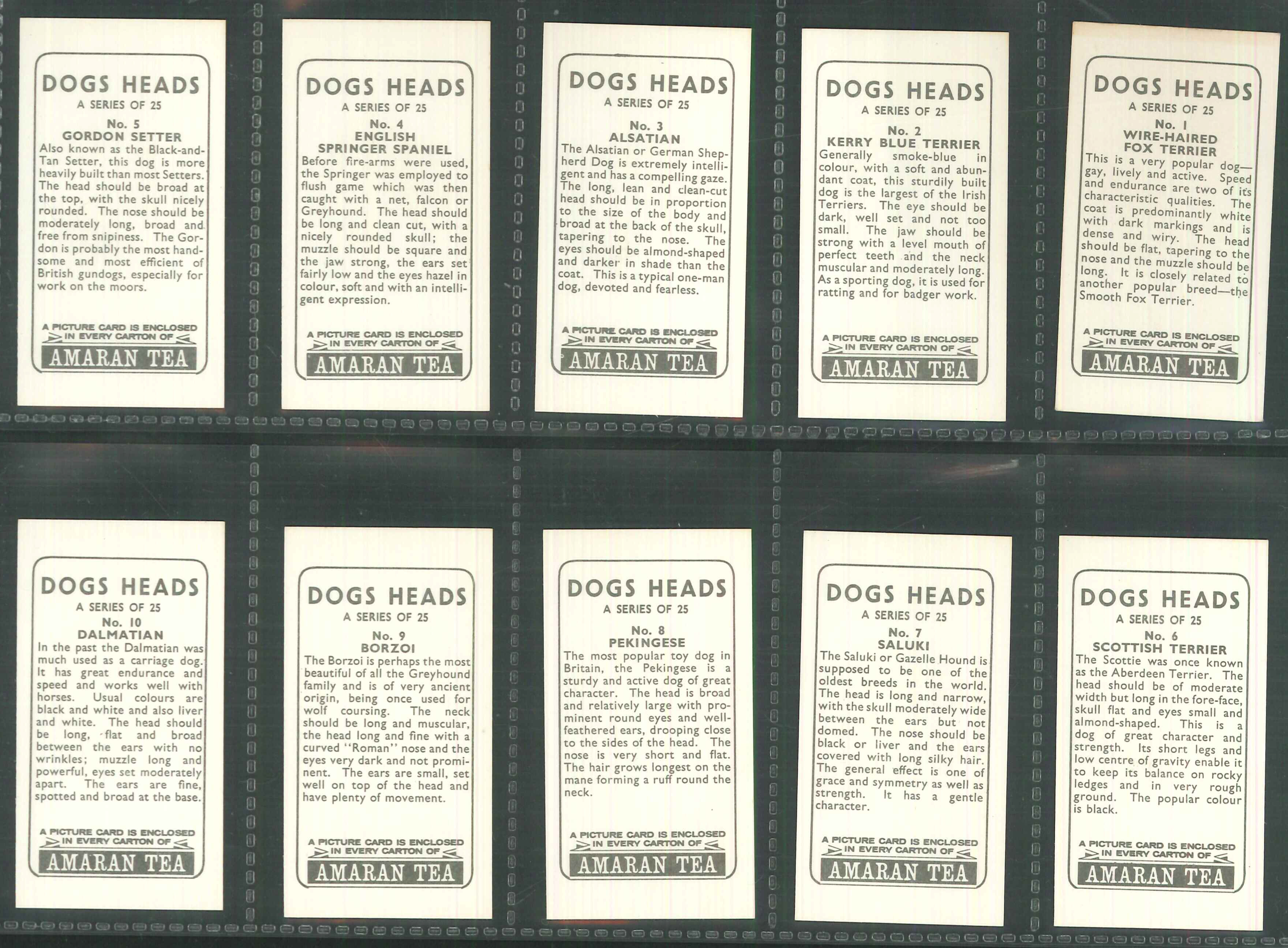 Amaran Tea - Dogs Heads set of 25 - Click Image to Close