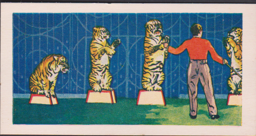 Bakers Bubblegum Circus Scenes No 14 Combined Tiger Act - Click Image to Close