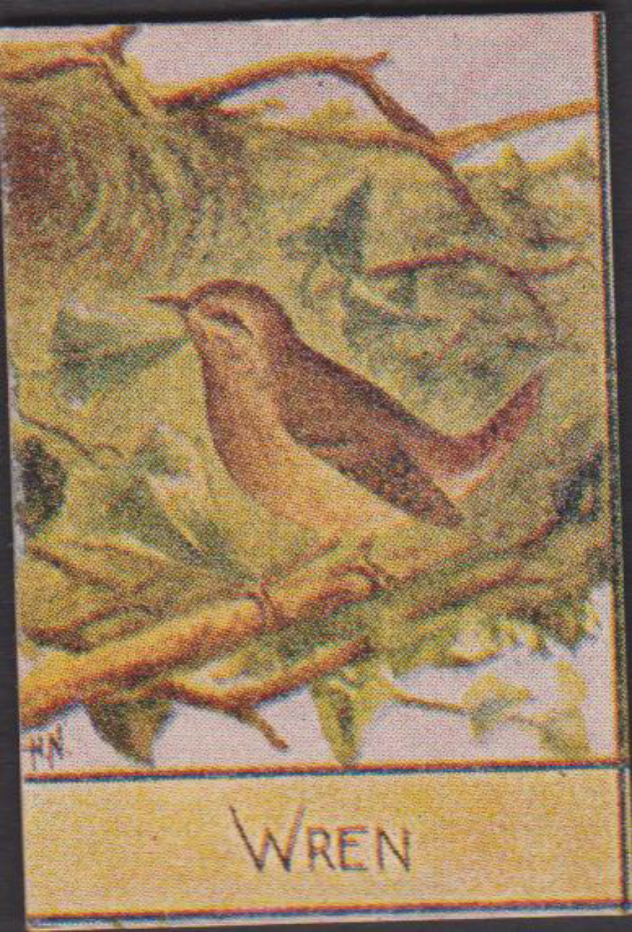 Spratt's British Bird Series Numbered No 72 Wren