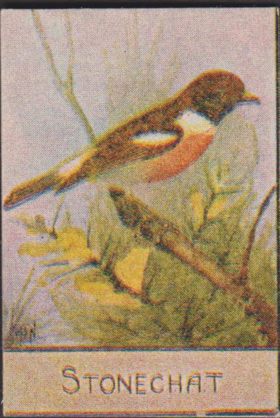 Spratt's British Bird Series Numbered No 66 Stonechat