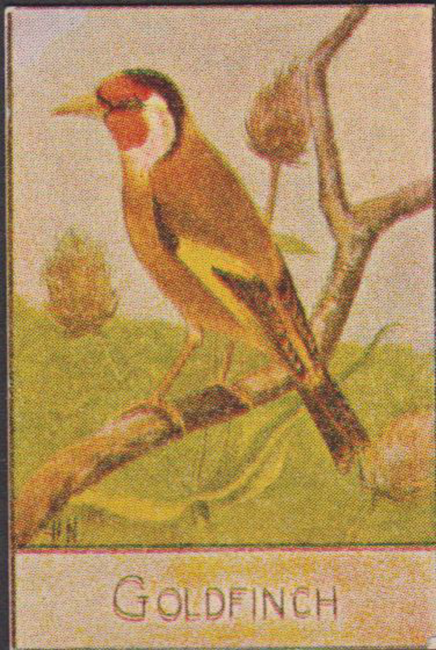 Spratt's British Bird Series Numbered No 63 Goldfinch