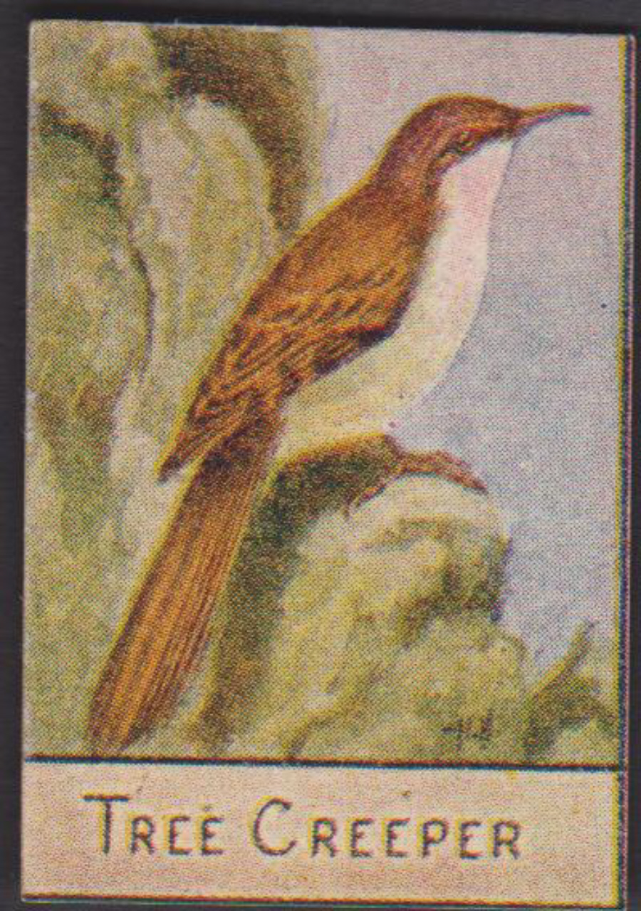 Spratt's British Bird Series Numbered No 96 Tree Creeper - Click Image to Close