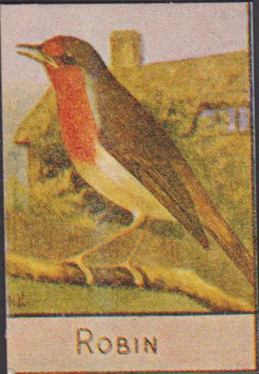 Spratt's British Bird Series Numbered No 93 Robin - Click Image to Close