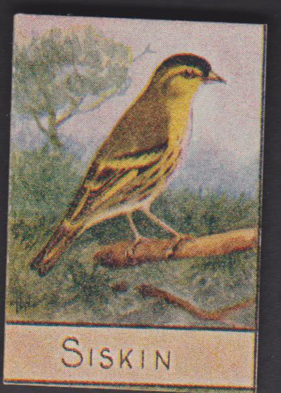 Spratt's British Bird Series Numbered No 88 Siskin - Click Image to Close