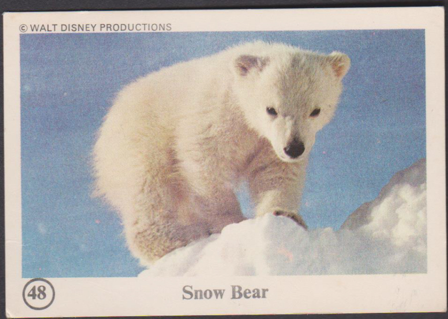 Typhoo Wonderful World of Disney No 48 Snow Bear - Click Image to Close