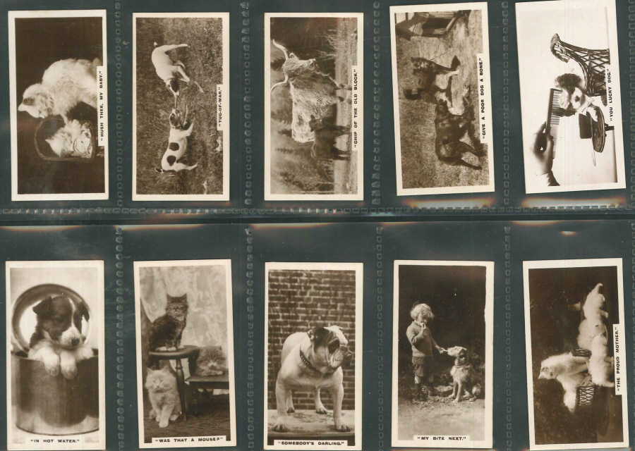 Millhoff Set of 27 Real Photographs