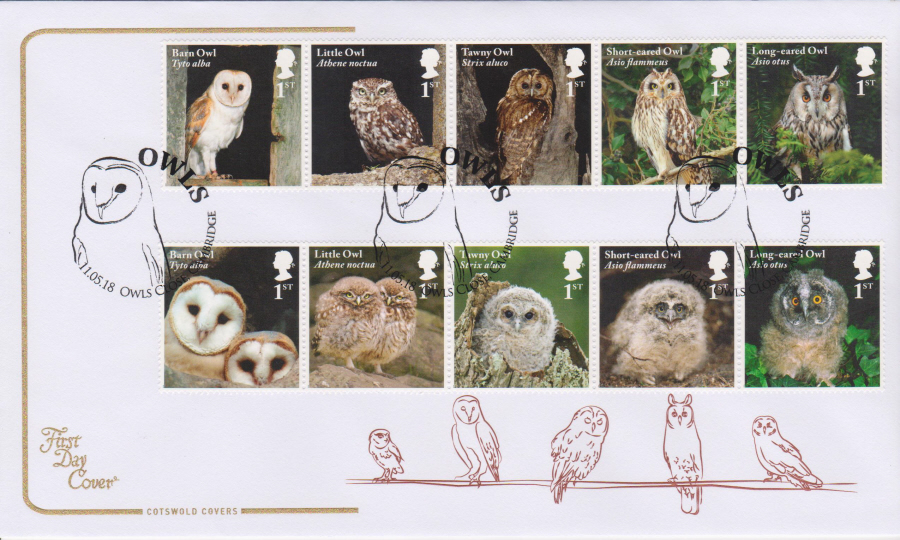 2018 Cotswold FDC - Owls - Owls Close Cambridge Postmark - Click Image to Close