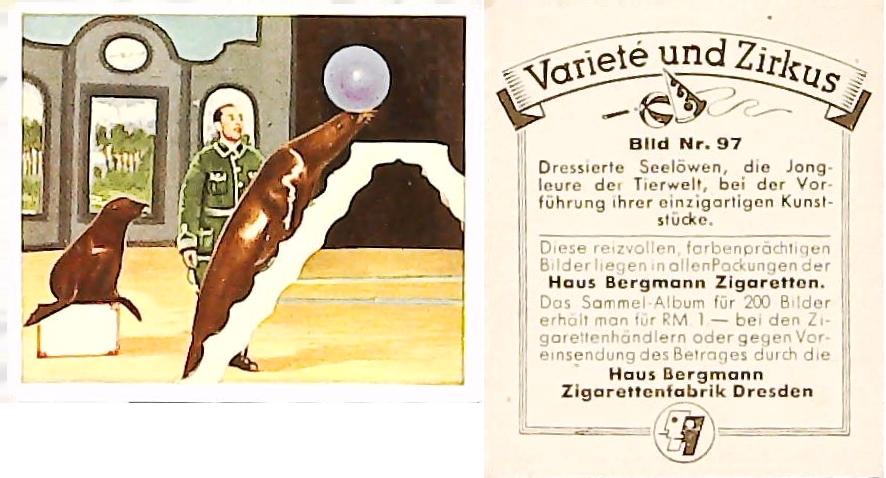 Bergmann Variety & CircusGerman Cigarette Card No 97