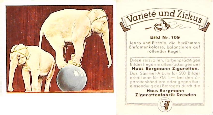 Bergmann Variety & CircusGerman Cigarette Card No 109