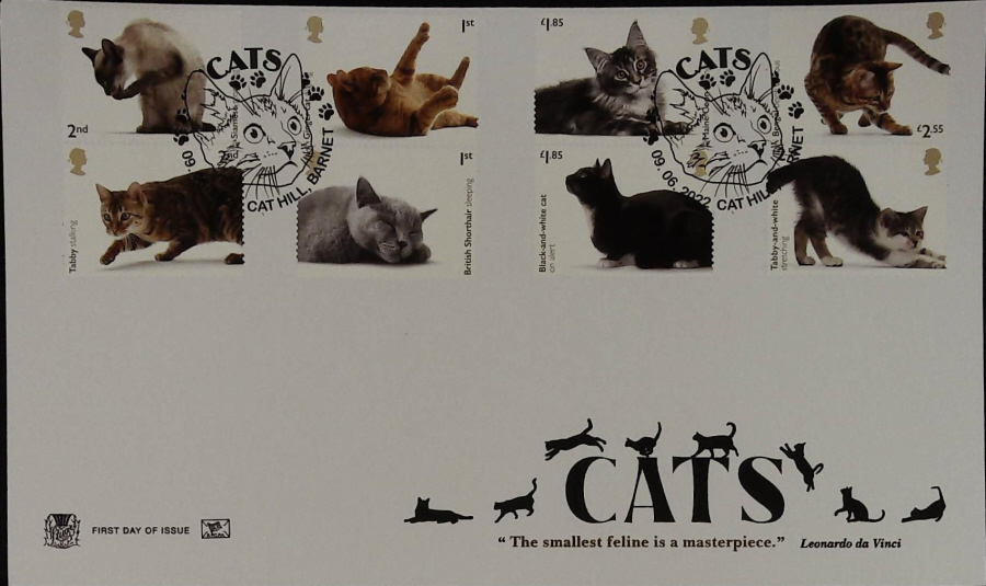 2022 CATS STUART FDC - CAT HILL BARNET Postmark
