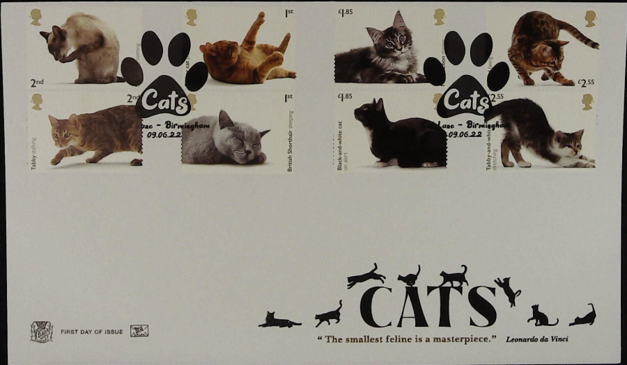 2022 CATS STUART FDC - CATS LANE, BIRMINGHAM Postmark