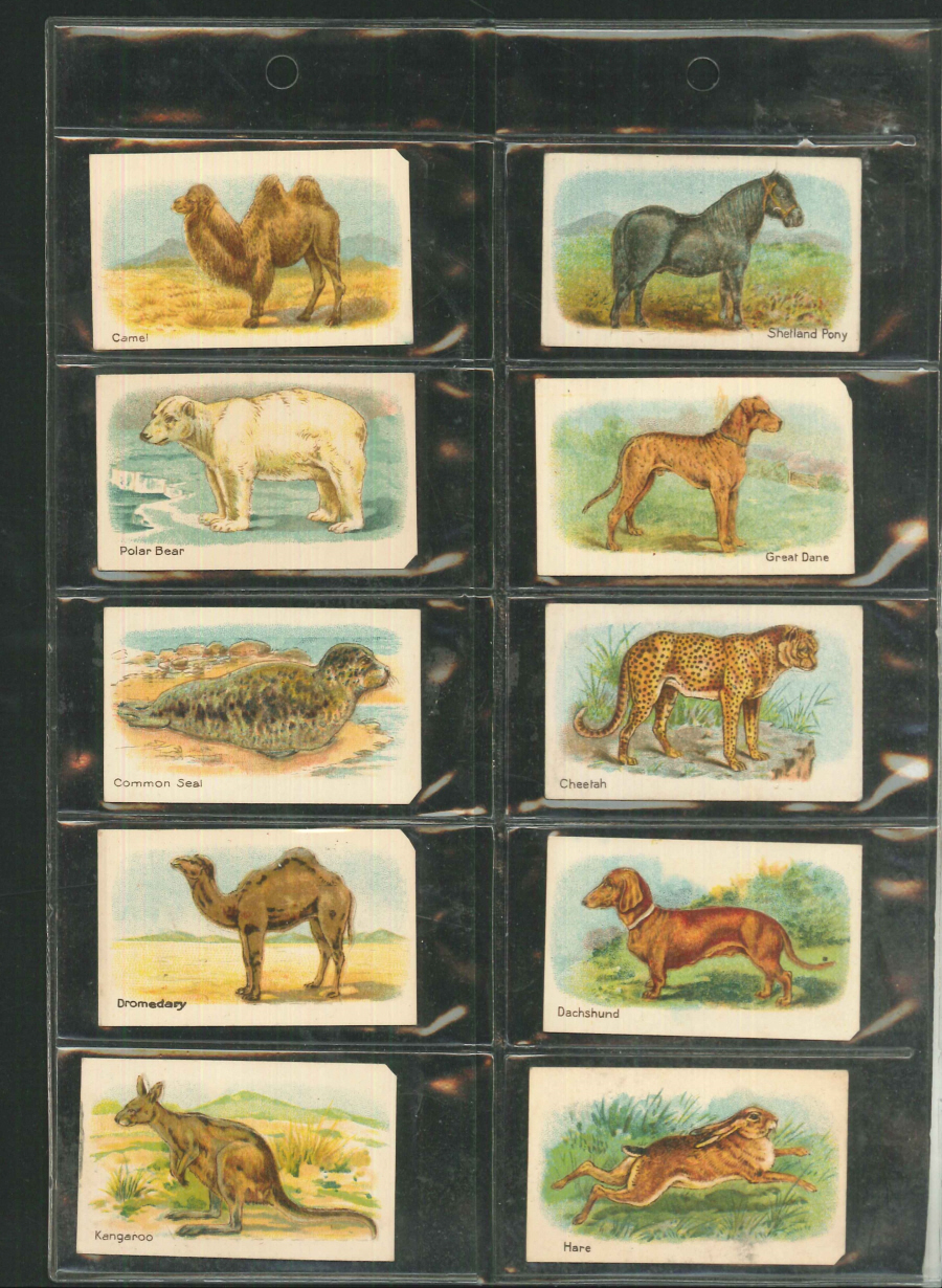 Hustler Set of 20 Animals First Series - Click Image to Close